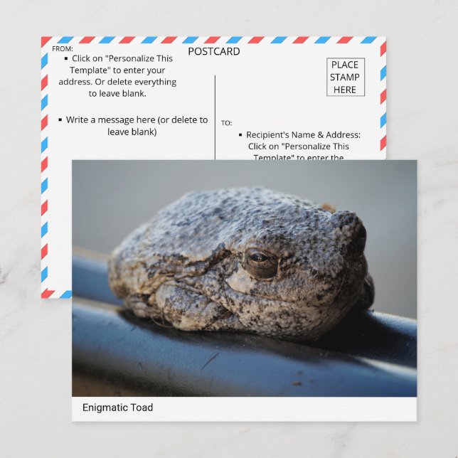 Cartão Postal Cartão-postal do Toad Enigmático (Frente/Verso)
