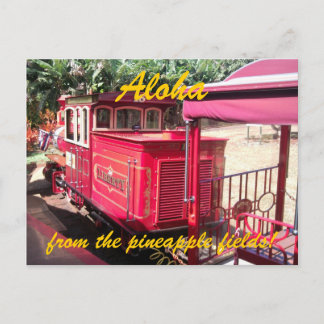 Cartão Postal Cartão-postal do trem Hawaii Pineapple