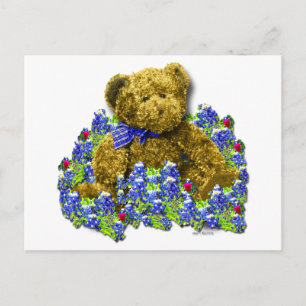 Cartão Postal Cartão-postal do Urso Bluebonnet