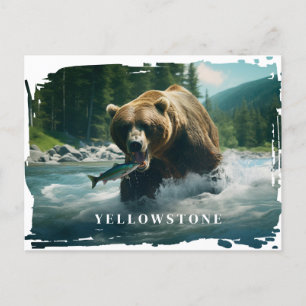 Cartão Postal Cartão-postal do Urso Yellowstone