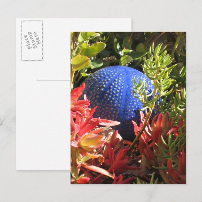 Cartão Postal Cartão-postal do Vazio de Jardim Vegetal Suculto (Frente/Verso)