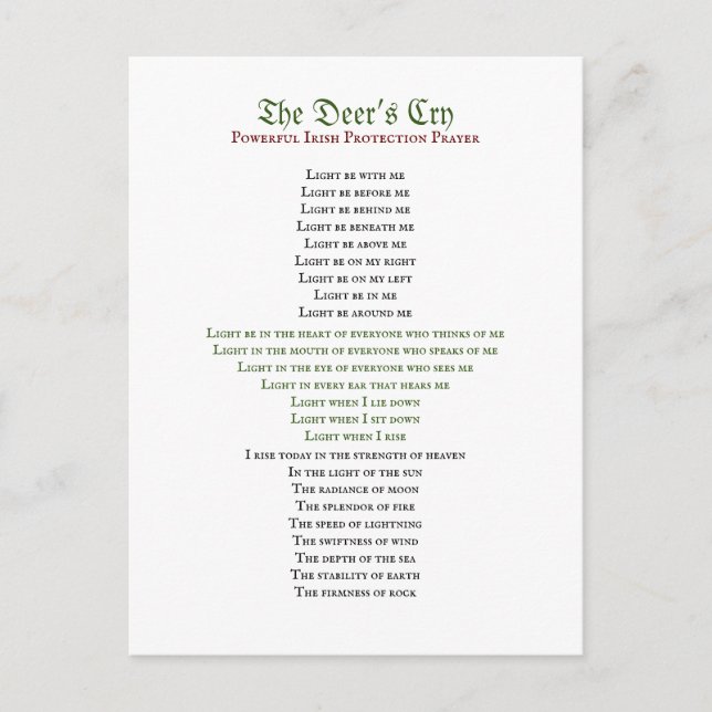 Cartão Postal Cartão-postal do veado (Frente)