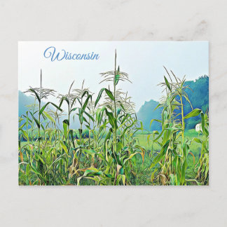Cartão Postal Cartão-postal do Wisconsin Corn Stalks Midwest Pho