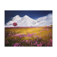 Cartão-postal dos Alpes Snowy