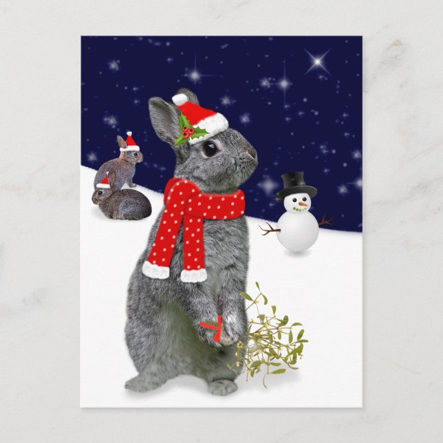 Cartão Postal Cartão-postal dos Kits de Natal (Frente)