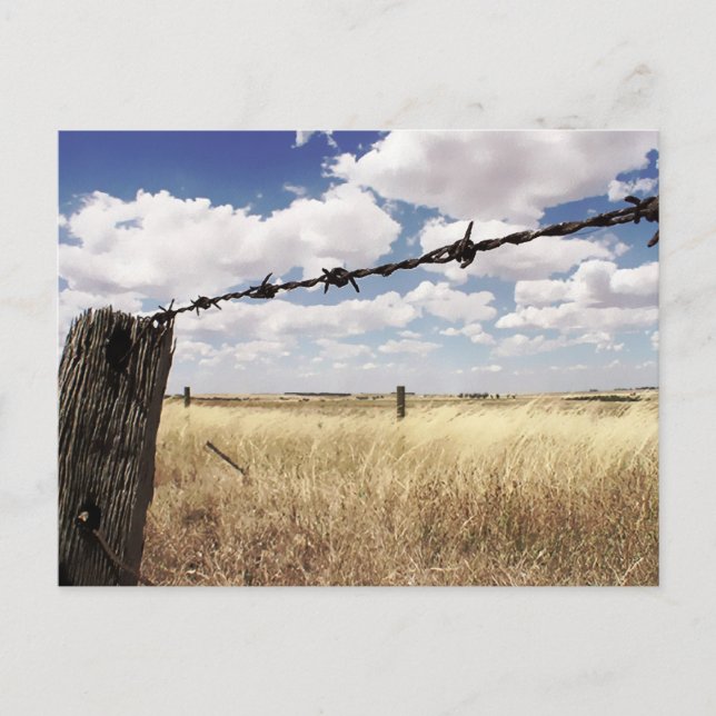 Cartão Postal Cartão-postal dos Limites da Natureza (Frente)