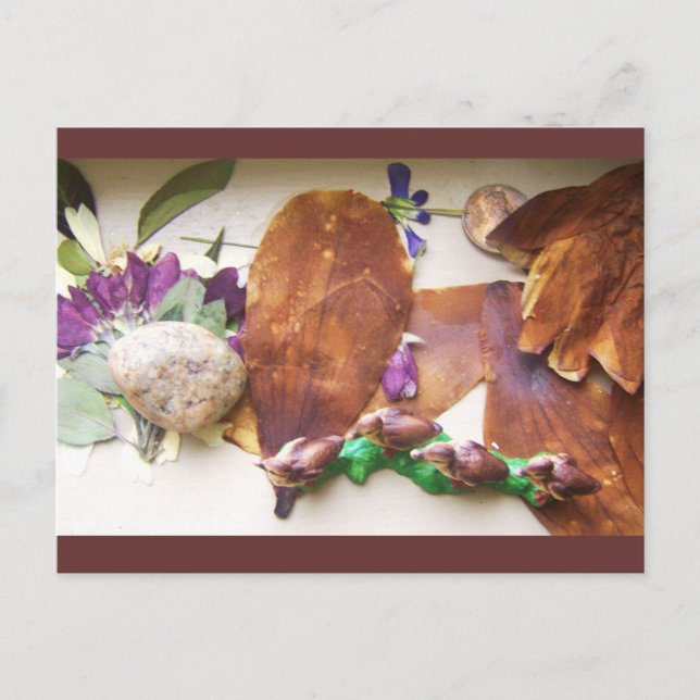 Cartão Postal Cartão-postal dos Patos Viajantes (Frente)