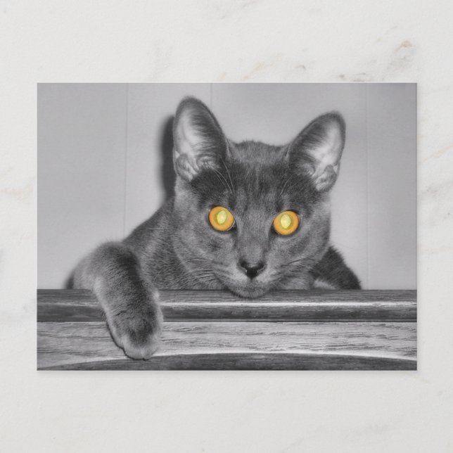 Cartão Postal Cartão-postal Dourado usky (Frente)