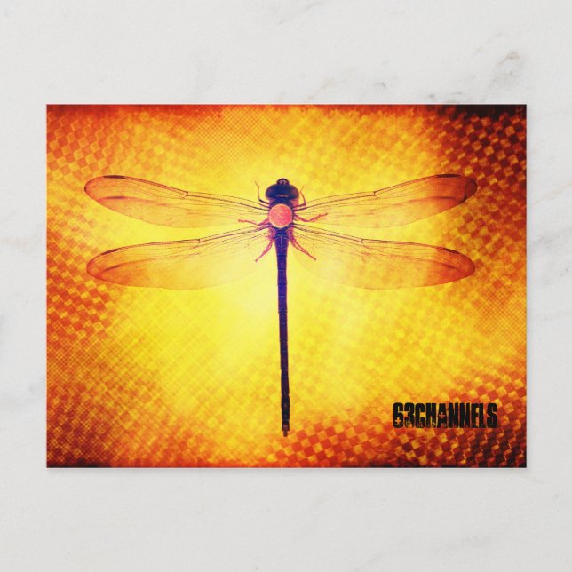 Cartão Postal Cartão-postal Dragonfly (Frente)