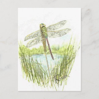 Cartão Postal Cartão-postal Dragonfly
