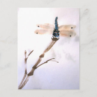 Cartão Postal Cartão-postal Dragonfly