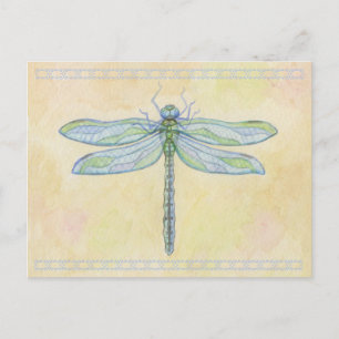 Cartão Postal Cartão-postal Dragonfly