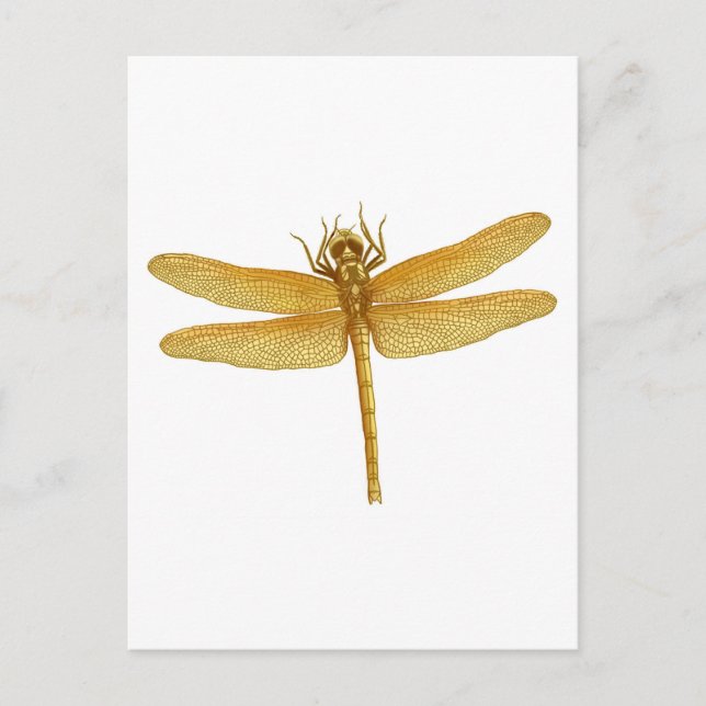Cartão Postal Cartão-postal Dragonfly Dourado (Frente)