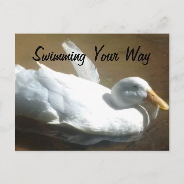 Cartão Postal Cartão-postal Duck (Frente)