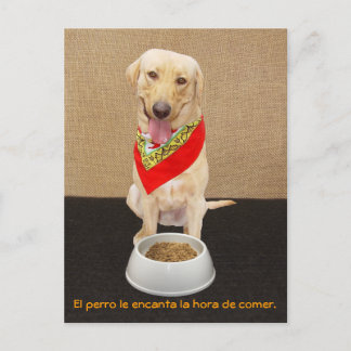 Cartão Postal Cartão-postal e auxílio ao ensino em espanhol, de 