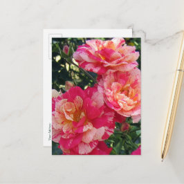 Cartão Postal Cartão-postal editável de Rosas com riscas brancas