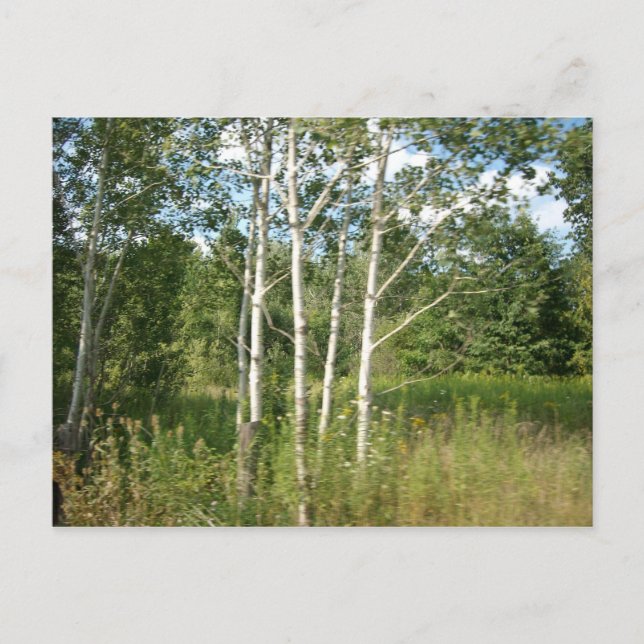 Cartão Postal Cartão-postal embutido (Frente)