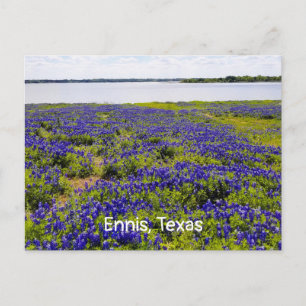 Cartão Postal Cartão-postal Ennis Bluebonnets pelo lago Bardwell
