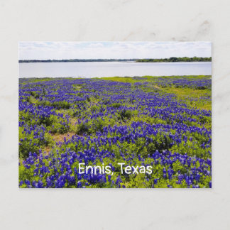 Cartão Postal Cartão-postal Ennis Bluebonnets pelo lago Bardwell