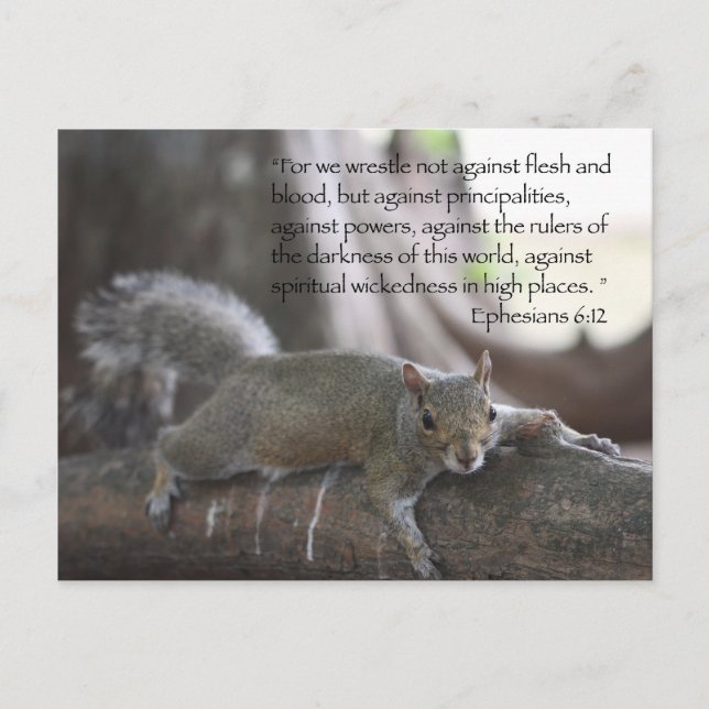 Cartão Postal Cartão-postal Ephesianos 6:12 (Frente)