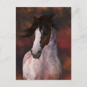 Cartão Postal Cartão-postal Equino