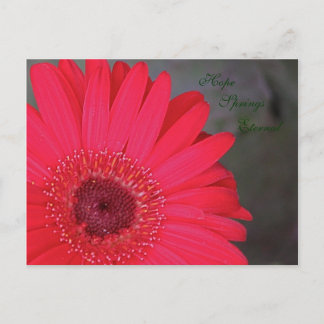 Cartão Postal Cartão-postal Eterno de Primaveras de Esperança