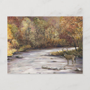 Cartão Postal Cartão-postal Fall Stream Art