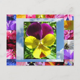 Cartão Postal Cartão-postal Felicidade Flores