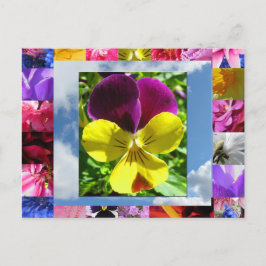 Cartão Postal Cartão-postal Felicidade Flores