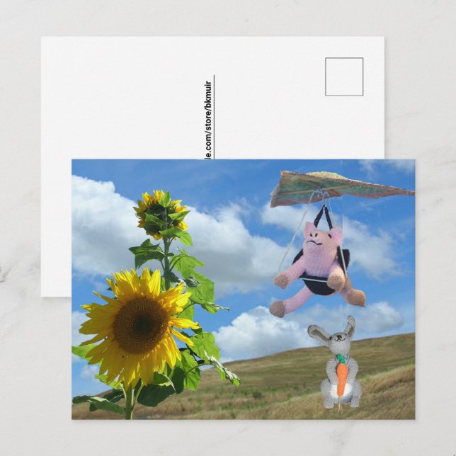 Cartão Postal Cartão-postal - Felizes Amigos em Hill (Frente/Verso)