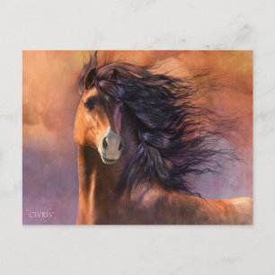 Cartão Postal Cartão-postal Flash