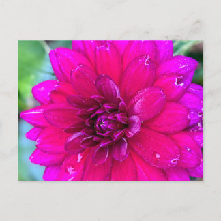 Cartão Postal Cartão-postal floral