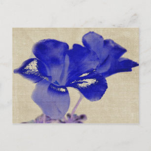 Cartão Postal Cartão-postal Floral Azul