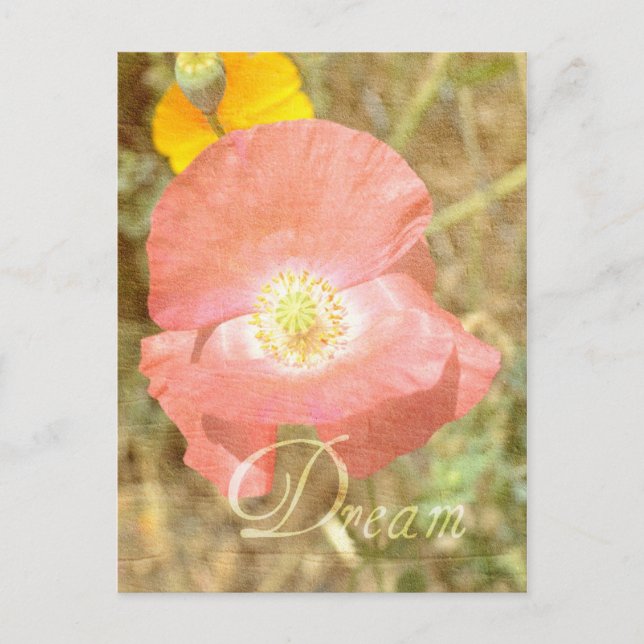 Cartão Postal Cartão-postal Floral Dream Poppy (Frente)
