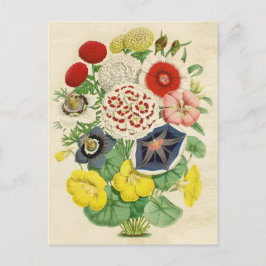 Cartão Postal Cartão-postal floral misto Vintage