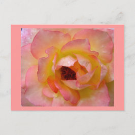 Cartão Postal Cartão-postal-Flores-10