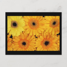 Cartão Postal Cartão-postal-Flores-6