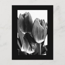 Cartão Postal Cartão-postal-Flores-64