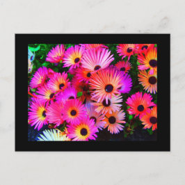 Cartão Postal Cartão-postal-Flores-68