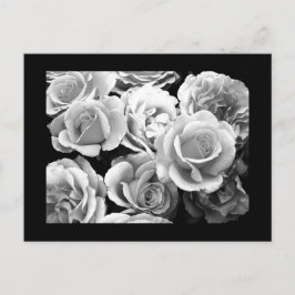 Cartão Postal Cartão-postal-Flores-74