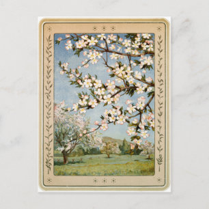 Cartão Postal Cartão-postal - Flores da Apple