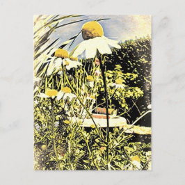 Cartão Postal Cartão-postal Flores de Camomila (Estilo Antiquado