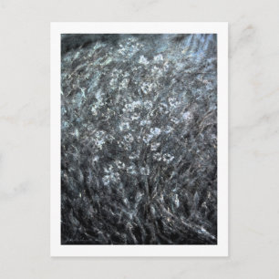 Cartão Postal Cartão-postal - Flores de inverno para pintura de