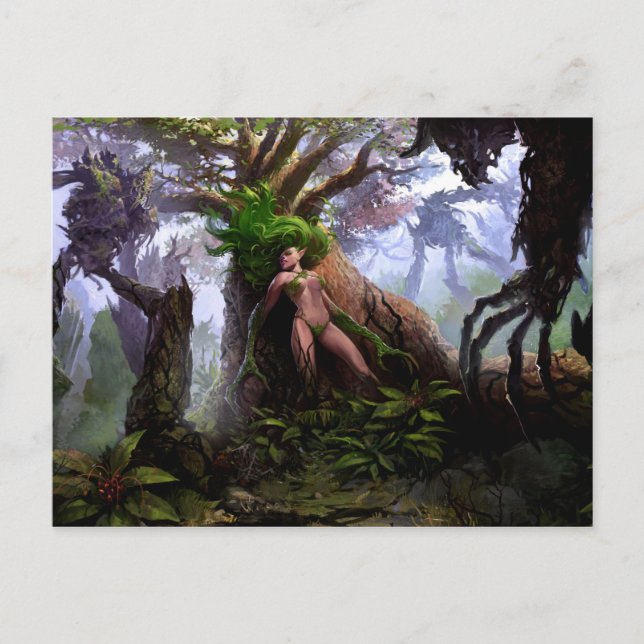 Cartão Postal Cartão-postal - Florestas de Sorte (Frente)