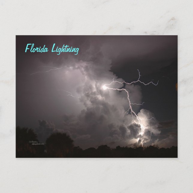 Cartão Postal Cartão-postal Flórida Storm Lightning (Frente)