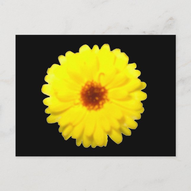 Cartão Postal Cartão-postal fluorescente Marigold (Frente)