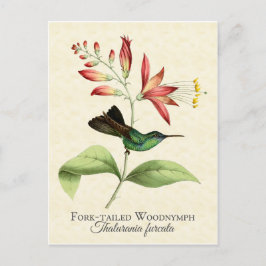 Cartão Postal Cartão-postal Fork Tailandês De Madeira Ninfônica 