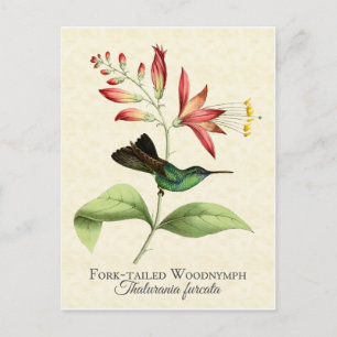 Cartão Postal Cartão-postal Fork Tailandês De Madeira Ninfônica
