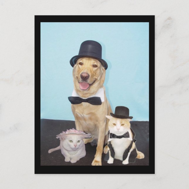 Cartão Postal Cartão-postal formal (Frente)