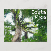Cartão-postal Fotografia em Árvore Costa Rica
